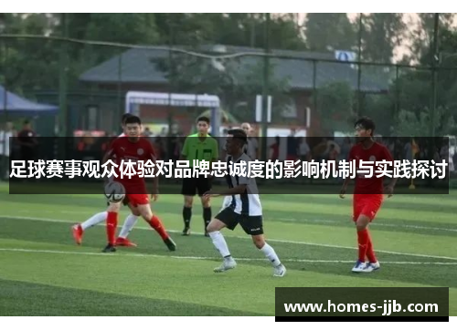 足球赛事观众体验对品牌忠诚度的影响机制与实践探讨 足球赛事观众体验对品牌忠诚度的影响机制与实践探讨