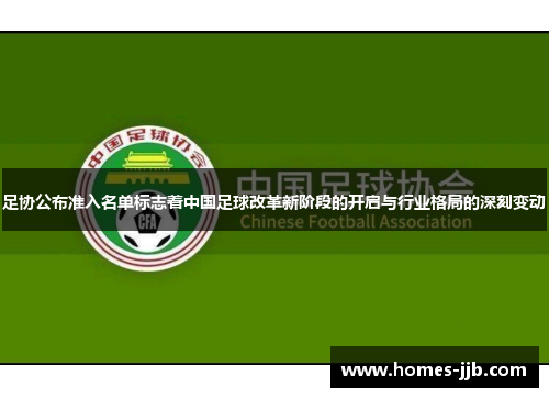 足协公布准入名单标志着中国足球改革新阶段的开启与行业格局的深刻变动