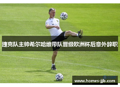 捷克队主帅希尔哈维带队晋级欧洲杯后意外辞职