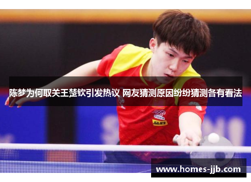 陈梦为何取关王楚钦引发热议 网友猜测原因纷纷猜测各有看法