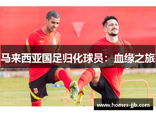 马来西亚国足归化球员：血缘之旅