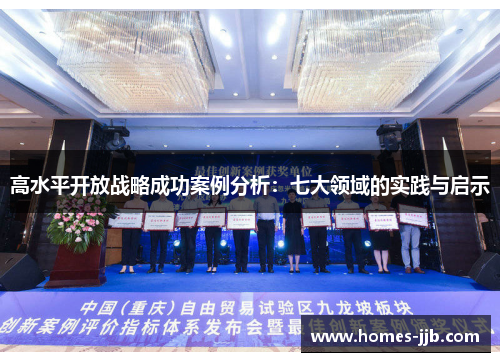 高水平开放战略成功案例分析：七大领域的实践与启示