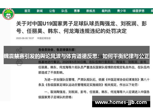 魏震禁赛引发的舆论风波与体育道德反思：如何平衡纪律与公正