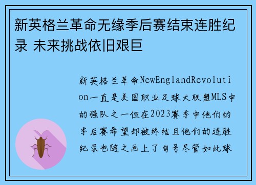 新英格兰革命无缘季后赛结束连胜纪录 未来挑战依旧艰巨